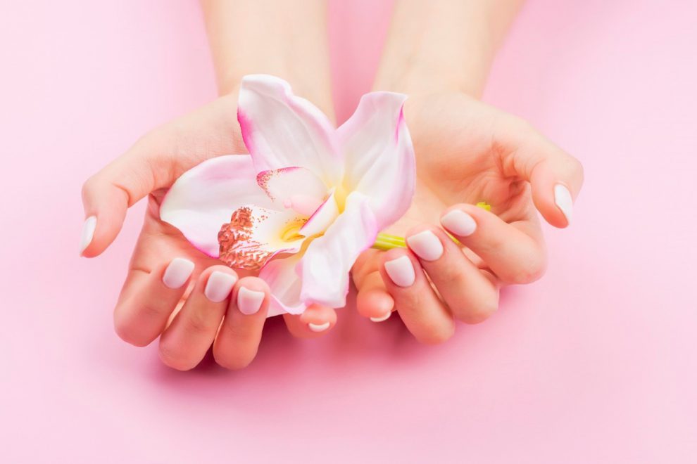 estética ginecológica en Toledo – flor bonita estética ginecológica en Toledo - flor bonita