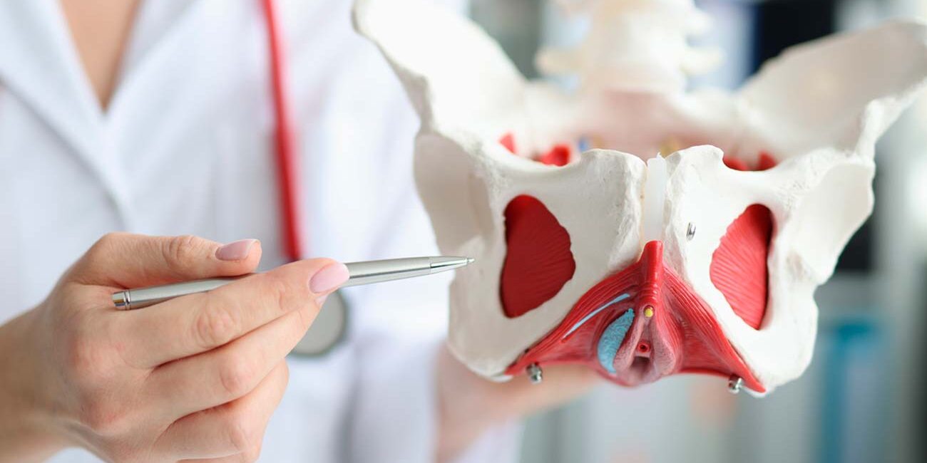 funciones-del-suelo-pelvico